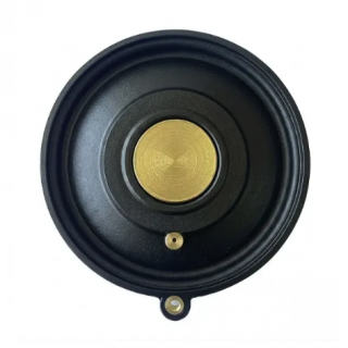 Solenoid vana diyafram 2''